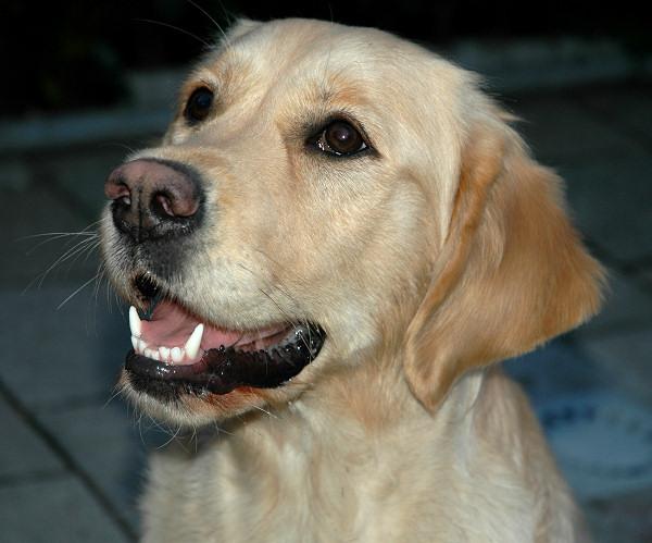 angie_200405_2.jpg