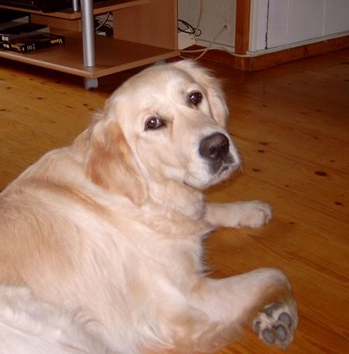 angie_200904.jpg