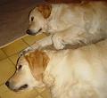 07-Dsc05126_kl
