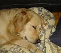 08-Dsc05137_kl