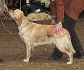 DSC05332_Angieermelo