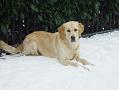 Dsc05194_kl