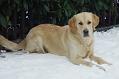 Dsc05194_kl_2