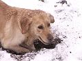 IMG_2551