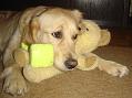 angie_16012005