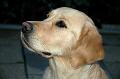 angie_200405