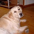 angie_200904
