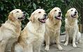 14-Dsc05091_k