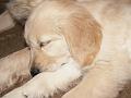 04_PICT0999_nena