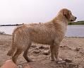 14_PICT2084