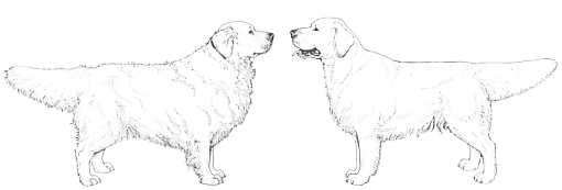 grooming2.gif (21114 bytes)